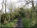 Bridleway Skirting Owday Wood