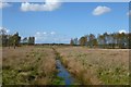 Drain on Strensall Common