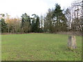 Field and Woodland View at Torry Hill Park Triangulation Pillar