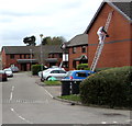 Working on a ladder, Hailey Court, Llandaff North, Cardiff