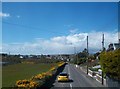 Whin hedges in fields running down to the Kilkeel River