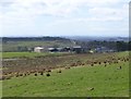 NZ0491 : Marshy fields above Rothley Shield East by Russel Wills
