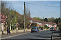 Wollaton: Brendon Road