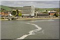 An algal bloom in the River Taw near the Civic Centre