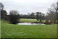 Pond by Burnthouse Lane