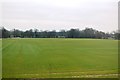 Arable field by Bethersden Rd