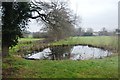 Pond by Bethersden Rd