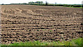 Large cultivated field by Lodge Farm