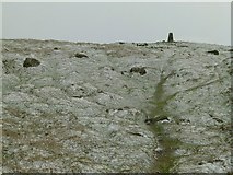 SO5977 : Titterstone Clee trig point by Alan Murray-Rust