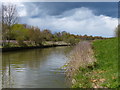 Fossdyke Canal near Burton Waters