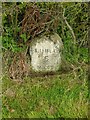 Milestone near Cleehill