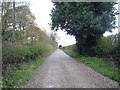 Track towards Burghwood Farm