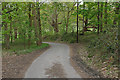 Road to Chatley Tower