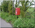 Elizabeth II postbox on Main Road, Rollesby