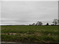 Farmland at Woodside