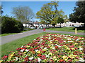 Flower bed in South Park