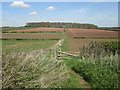 Footpath west of Blue Barn Farm