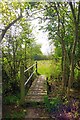 TL8104 : Footbridge on The Path to Rectory Lane by Glyn Baker