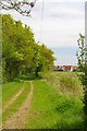 The Path to Brookhead Farm