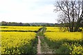 Footpath Junction Near Woodhouse Farm