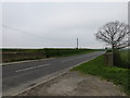 Mowden Bridge crossing Baydale Beck