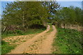 Footpath on track near Midgham Farm