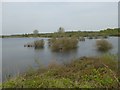 Belmoor Lake