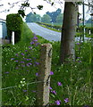 Road at Station Cottages, Fledborough