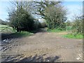 Track to Thakeham Place Farm