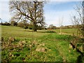 Footpath to Strawberry Lane