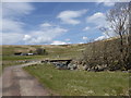 Bridge at South Shortcleugh