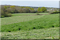 View from the Downside Way near Cobham