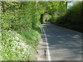 Lane alongside The Grove