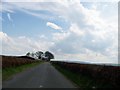 Minor Road Near Muirhouse