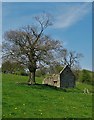 Ruin of a farm building at Clough Head