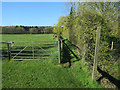 Footpath to Basefield Wood