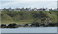 Portknockie from the Sea