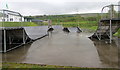 Ystradgynlais Skateboard Park 2K