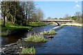 Weir on the River Doon