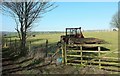 Sheep pasture, Peasedown St John