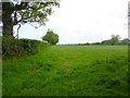 Field at Shirkoak