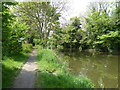 The Royal Military Canal, Hythe