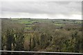 Woodland below Slade Viaduct