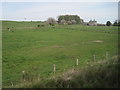 NU2312 : View from a Newcastle-Edinburgh train - farmland near Lookout by Nigel Thompson