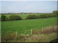 View from a Newcastle - Edinburgh train - farmland near Rennington