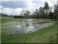 Warren Water ? view south