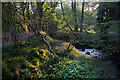 Trefechan Brook