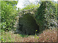 S4657 : Bonnetstown Castle by kevin higgins
