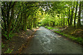 Bridleway to Winsford and Hollow Moor