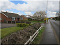 Bungalows in Shipdham